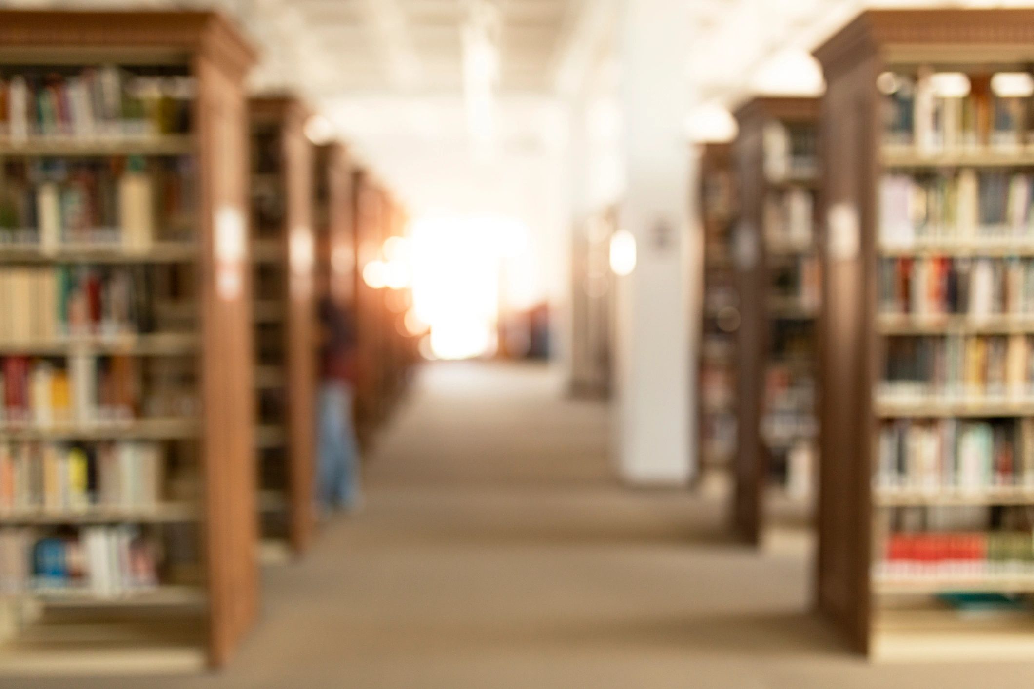 Luzes desfocadas em biblioteca, atmosfera de estudo