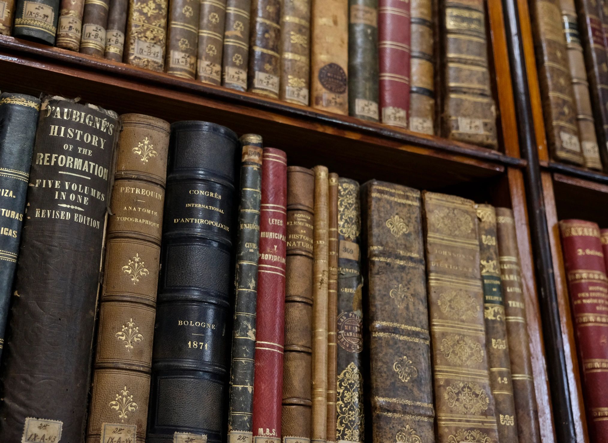 Livros antigos em biblioteca, simbolizando estudo histórico